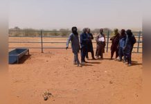 Tahoua: Projet P2RS et Développement Rural Tahoua: Projet P2RS et Développement Rural