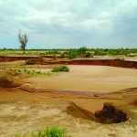 Dégradation Des Terres Au Niger Malgré Les Efforts Dégradation Des Terres Au Niger Malgré Les Efforts