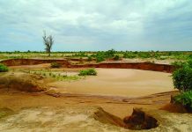 Dégradation Des Terres Au Niger Malgré Les Efforts Dégradation Des Terres Au Niger Malgré Les Efforts