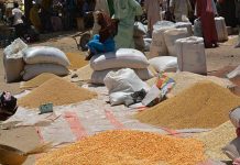 Hausse Modérée Des Prix Céréaliers Au Niger Hausse Modérée Des Prix Céréaliers Au Niger