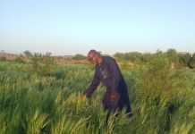 Sécurité Alimentaire: Appel au Retour à la Terre au Niger Sécurité Alimentaire: Appel au Retour à la Terre au Niger