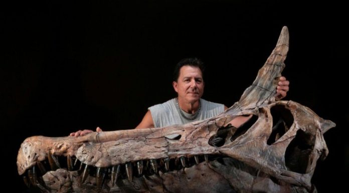 Découverte d’un Dinosaure Surnommé Héron Infernal Découverte d'un Dinosaure Surnommé Héron Infernal