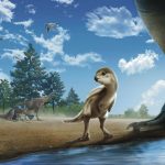 Doolysaurus, Bébé Dinosaure Coréen Doolysaurus, Bébé Dinosaure Coréen