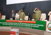 Sensibilisation des Comités de Gestion du FSSP à Niamey Sensibilisation des Comités de Gestion du FSSP à Niamey