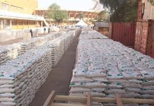 Programme De La Grande Irrigation Pour Le Riz Au Niger Programme De La Grande Irrigation Pour Le Riz Au Niger