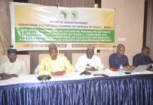 Déploiement de Mini-Réseaux Propres au Niger Déploiement de Mini-Réseaux Propres au Niger