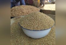 Coût de Vie au Niger: Baisses Spectaculaires des Prix Coût de Vie au Niger: Baisses Spectaculaires des Prix