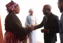 Arrivée à Niamey du Directeur Général du BIT Arrivée à Niamey du Directeur Général du BIT