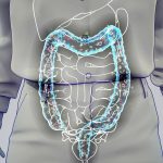 Bactéries du Microbiote Injectent Molécules dans Nos Cellules Bactéries du Microbiote Injectent Molécules dans Nos Cellules