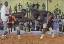 Coupe Du Gouverneur: Quatre Lutteurs Invaincus Restent Coupe Du Gouverneur: Quatre Lutteurs Invaincus Restent