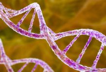 Robots à ADN Ciblant les Cellules Cancéreuses Robots à ADN Ciblant les Cellules Cancéreuses