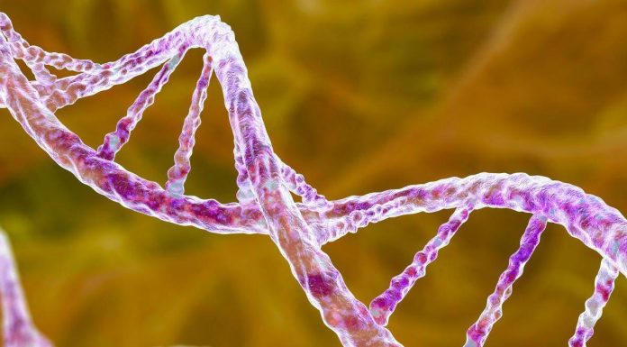 Robots à ADN Ciblant les Cellules Cancéreuses Robots à ADN Ciblant les Cellules Cancéreuses