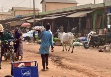 Le Niger Exige des Garanties Avant la Réouverture Le Niger Exige des Garanties Avant la Réouverture