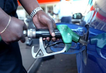 Timipre Sylva explains fuel price hike after briefing Buhari