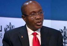How CBN’s agric sector fiscal initiatives are boosting economy