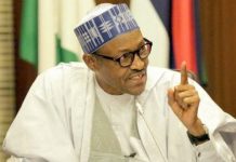 Border Closure, Not Meant To Punish Neighbours —Buhari