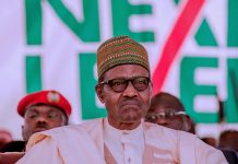 Northern elder, Dasuki tells Igbo how to succeed Buhari