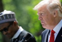 Trump’s Immigration Policy’ll Affect Nigerian Professionals