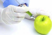 Promoting food security through renewable energy