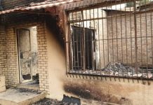 ‘Attacks on Nigerian businesses in S/Africa criminal, not xenophobic’