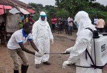 Nigeria may suffer Ebola outbreak soon – Reps warn