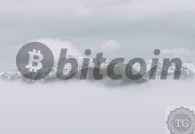 Economist Who Predicted Global Financial Crisis States Crypto Apocalypse Has Arrived