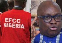Plot to pull down Tinubu will fail, says Fayose