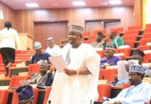 Why Senate approved Buhari’s $30bn loan request – Senator Adeola