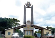 Former Minister of Aviation, Femi Fani-Kayode, has spoken on alleged moves to dump the People’s Democratic