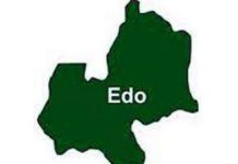 Islamic group reacts as police kill 250 criminals in Kaduna forest