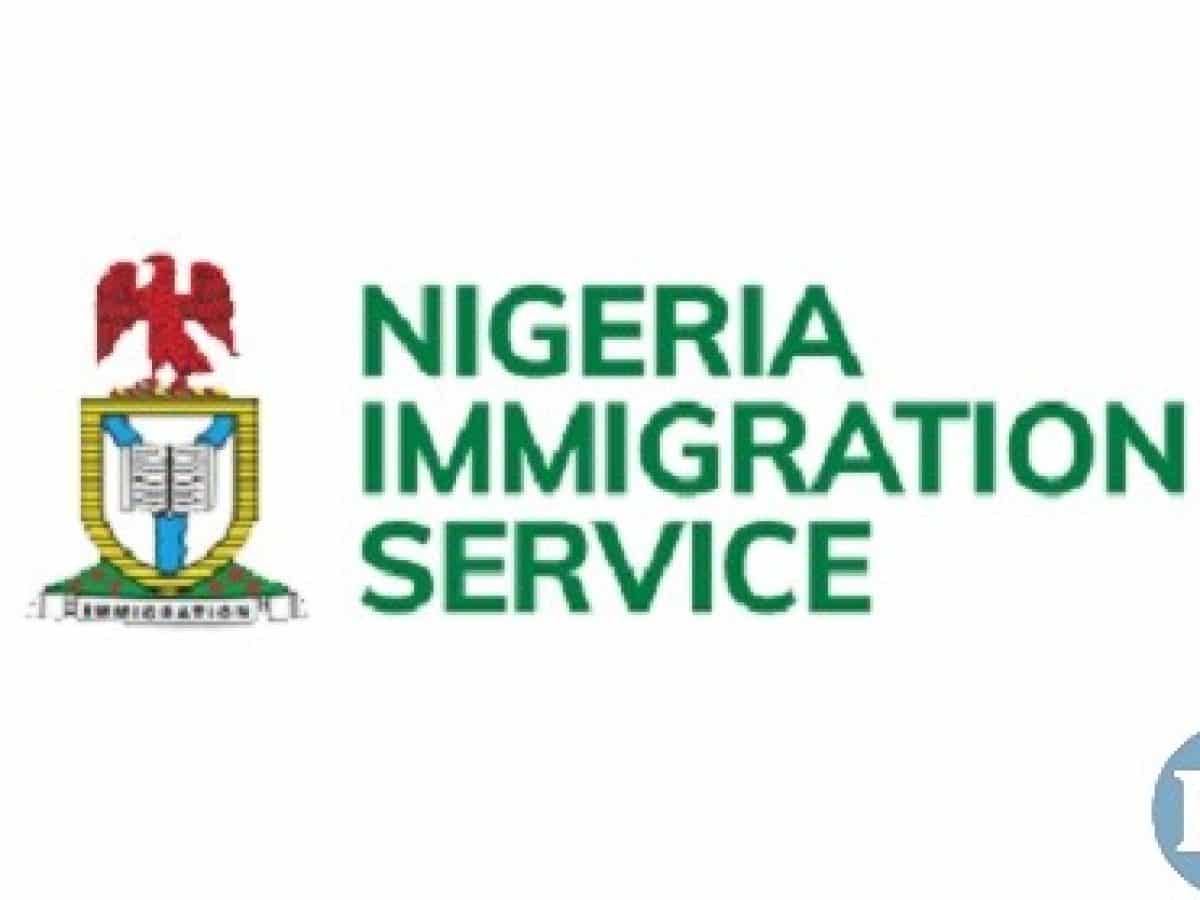 Nigeria Immigration probes bribery allegation at border checkpoints ...