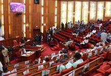 Nigeria’s most controversial senators in 2019