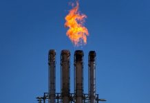 LPG retailers to get data base