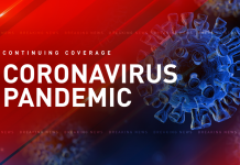 Stock market defies lockdown as equities recover