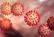 Nigeria Remains Attractive to Investment