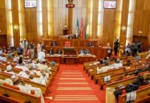 Senate seeks succour for aged persons
