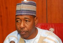 Borno Seeks Egyptian Varsities’ Collaboration on Healthcare