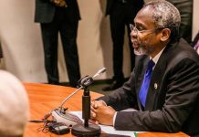 Imo police arrest two suspects working for kidnap kingpin