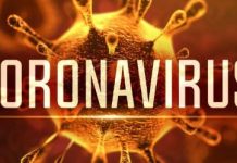 Nigerians in diaspora advised to suspend Christmas trips