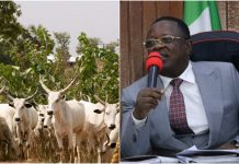 Umahi, Myetti Allah sign peace deal to end killings