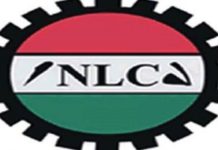NLC backs industrial actions by PASAN, JUSUN NLC backs industrial actions by PASAN, JUSUN