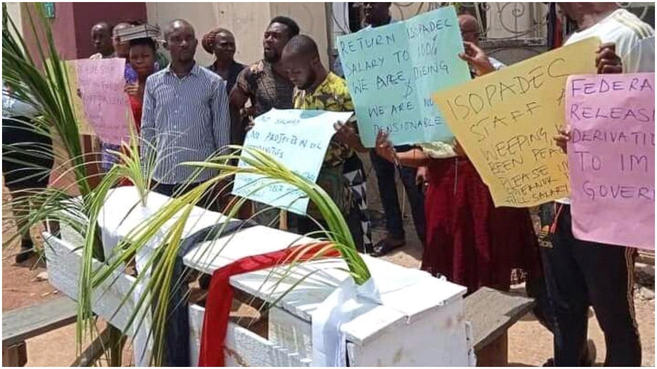 Slash in salary: ISOPADEC staff protest in Imo, bear casket to mock Governor Uzodinma