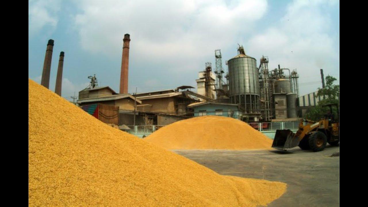 Abakaliki Rice Mill shut as millers, workers protest alleged multiple taxation Abakaliki Rice Mill shut as millers, workers protest alleged multiple taxation
