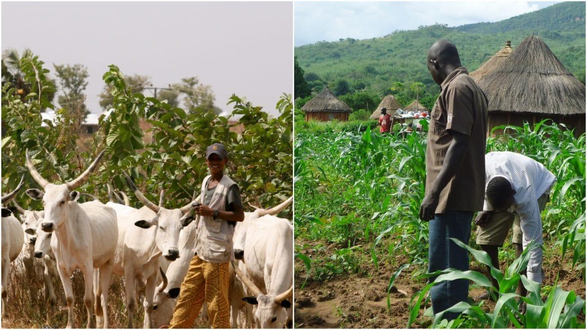 Kwara: NSCDC Commandant frowns at herders/farmers clashes