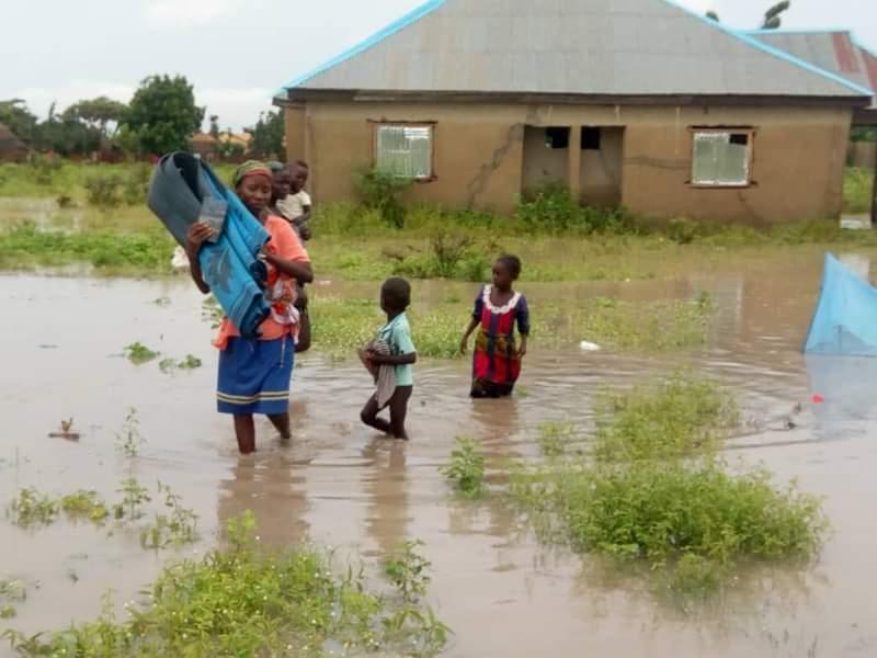 Flood claims 37 lives, submerges 89,000 farmlands in Adamawa - Nigeria