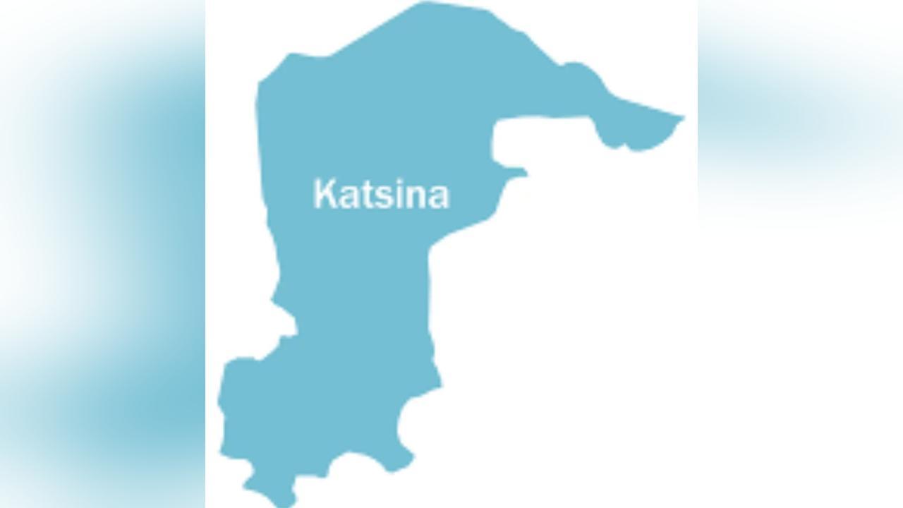 Security forces foil attack, kill four hoodlums in Katsina