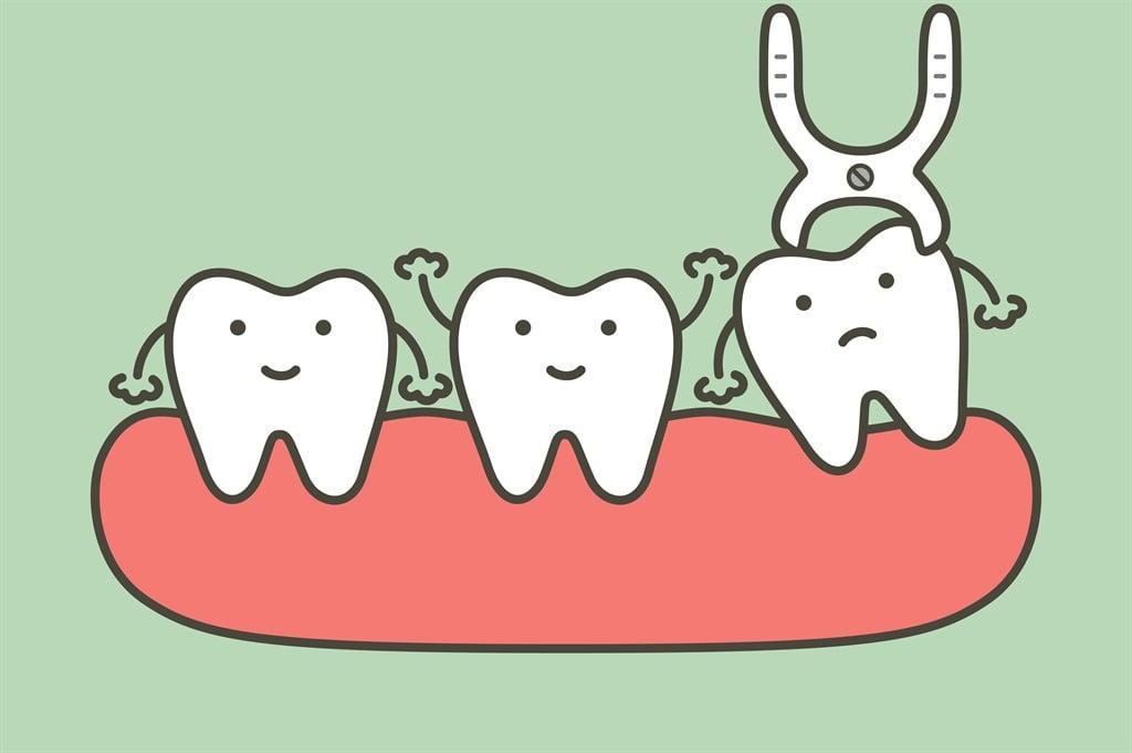 Why do people have wisdom teeth? Why do people have wisdom teeth?