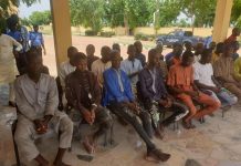 Eighteen suspected vandals arrested in Jigawa Eighteen suspected vandals arrested in Jigawa