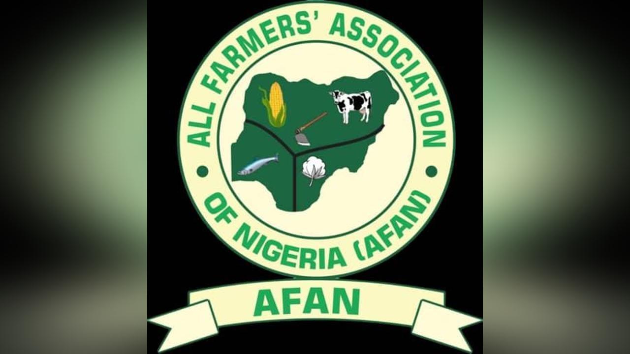 We Say No To Bill Gates' Artificial Seeds Maize- AFAN National Secretary