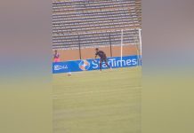 NPFL: Adamu moves to Rivers United from Katsina United NPFL: Adamu moves to Rivers United from Katsina United